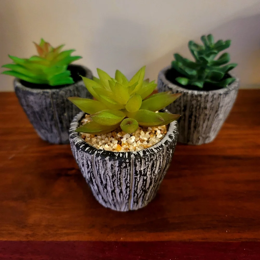 Set of 3 Faux Succulents in Heavy Textured Planters